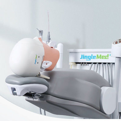 Οδοντιατρικός προσομοιωτής Phantom Head College School Durable For Dentistry