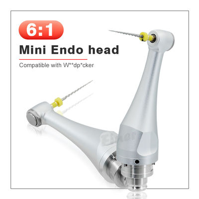 6/1 Dental Endodontic Handpiece Head For Endo Motor Root Canal Treatment 4.0N.cm
