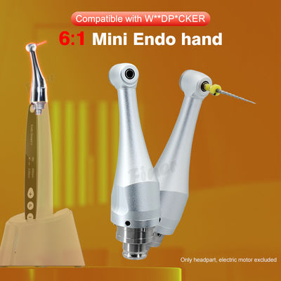 6/1 Dental Endodontic Handpiece Head For Endo Motor Root Canal Treatment 4.0N.cm